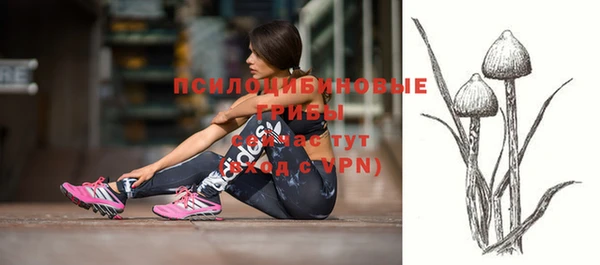 ALPHA PVP Белокуриха