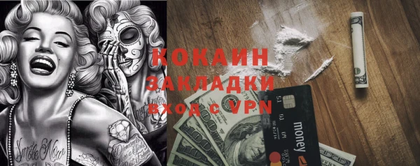 ПСИЛОЦИБИНОВЫЕ ГРИБЫ Арсеньев