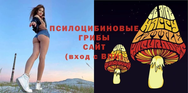 ПСИЛОЦИБИНОВЫЕ ГРИБЫ Арсеньев