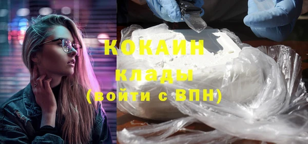 ПСИЛОЦИБИНОВЫЕ ГРИБЫ Арсеньев