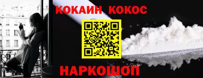 индика Новодвинск