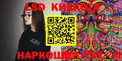 индика Новодвинск