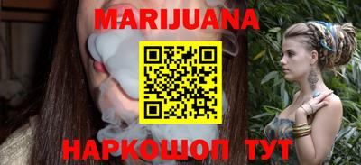 индика Новодвинск