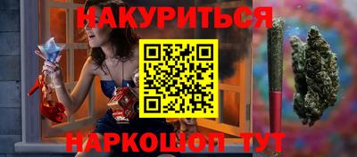 индика Новодвинск