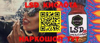 индика Новодвинск