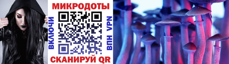 магазин продажи наркотиков  дарк нет телеграм  Галлюциногенные грибы Psilocybine cubensis  Соль-Илецк 